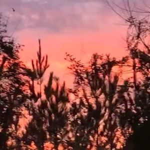 Meet your Posher, Shanice